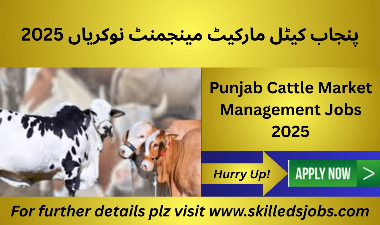 Punjab Cattle Market Management PCMMDC Jobs 2025 vacancies